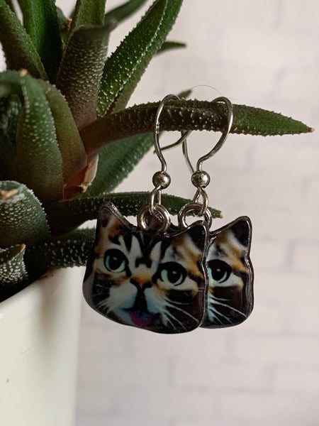 Boucles d’oreilles breloque tête de chat écaille de tortue sur crochet alliage de métaux argent Comme un ange