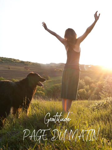 ATTITUDE GRATITUDE INTENTION PAGE DU MATIN Comme un ange