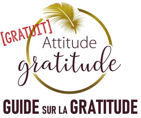 Guide GRATUIT ATTITUDE GRATITUDE