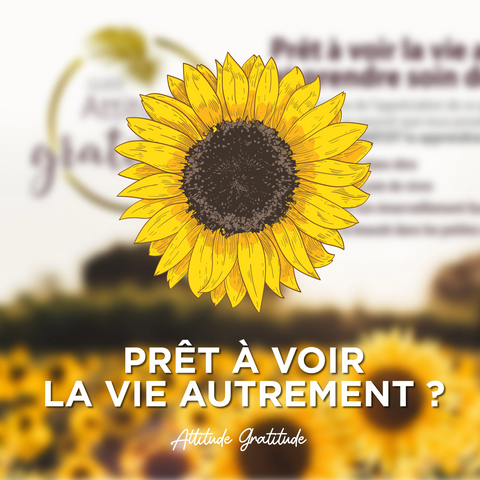 DEFI ATTITUDE GRATITUDE 30 JOURS VERSION PAPIER Comme un ange